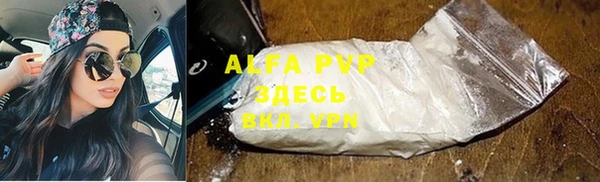 мет Алексин