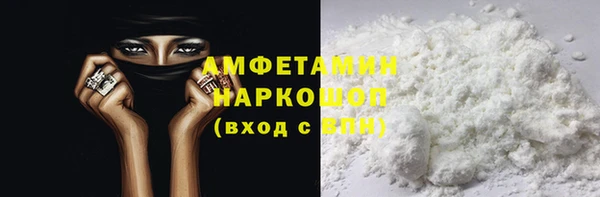 мет Алексин