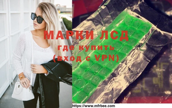 apvp Алзамай