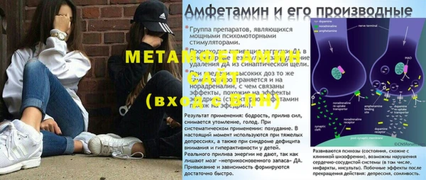 мет Алексин