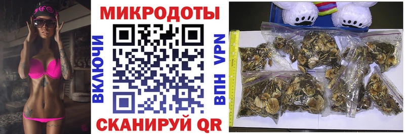 где можно купить наркотик  Осинники  мега ссылки  Галлюциногенные грибы Psilocybine cubensis 