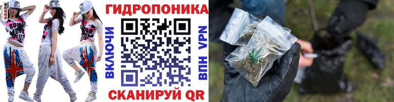 Шишки марихуана семена  Осинники 
